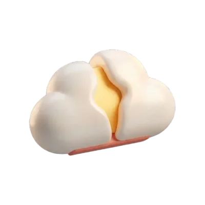 Brain Fog Recovery Rescue