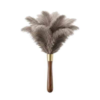 Home Dust Source Auditor