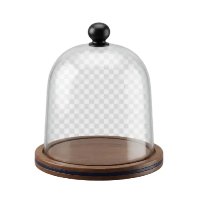 Food Freshness Extender