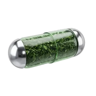 Immune System Daily Booster