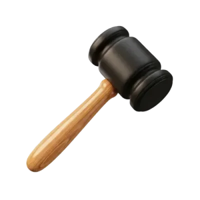 Medicaid Denial Appeal