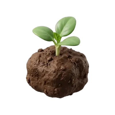 Small Backyard Vegetable Garden Starter