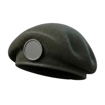 Veteran Bill Relief Program Matcher