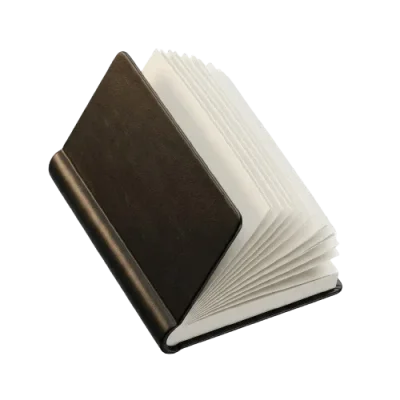 Speed Reading System