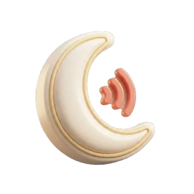 Snoring Relief Playbook