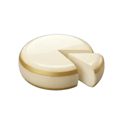 Beginner Cheese Making Guide