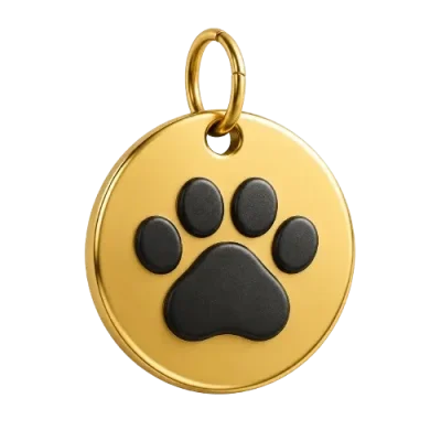 Busy Owner Pet Bonding Plan