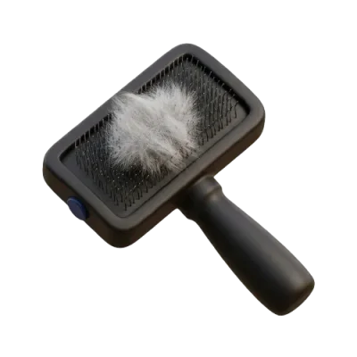 Cat Hair Loss Cause Finder